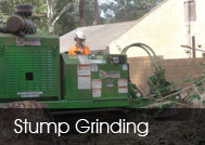 Stump Grinding